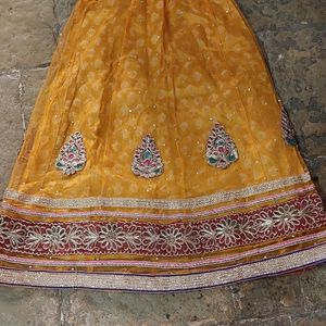 Net Ethnic Choli