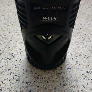 Woos Speaker