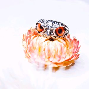Orange Eye Owl Ring