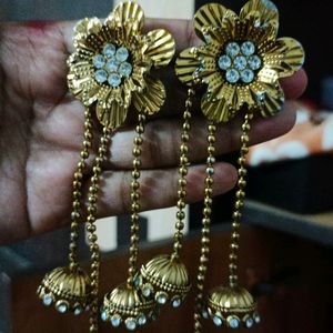 Beautiful Earings