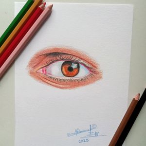 Colour Pencil Drawing