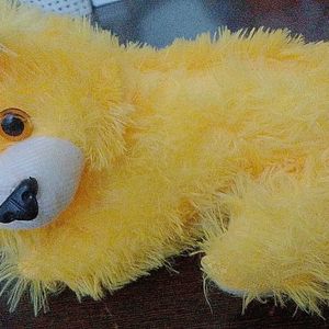 Cute Stuff Toy 🧸, Yellow In Colour