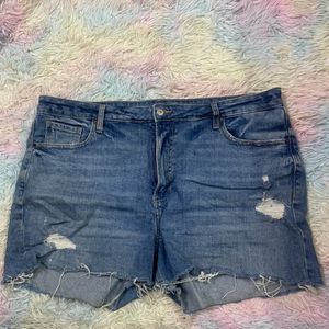 XL Denim Shorts