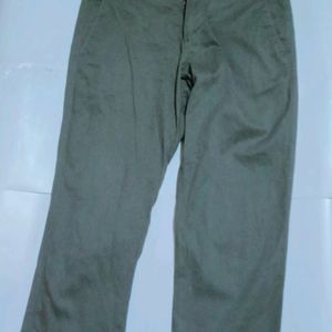 NETPLAY Olive Coloured Stylish Pant