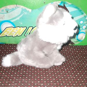 Husky 🐕 Dog Plush