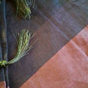 Copper Zari Border Dark Olive Saree