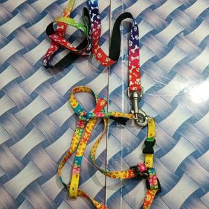 Cat For training Leash And Collar Set