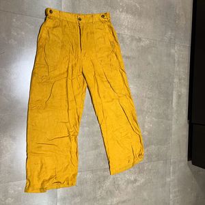 Mustard Plazzo Pants