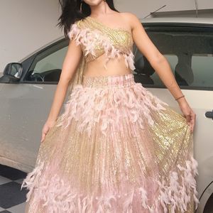 Feather Work With Glitter Lehenga Choli