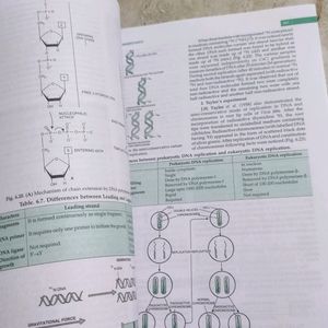 12 biology modern ABC