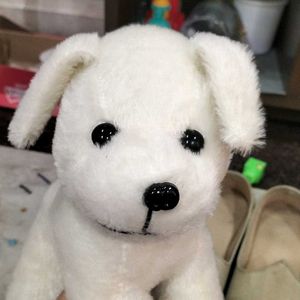 White Puppy