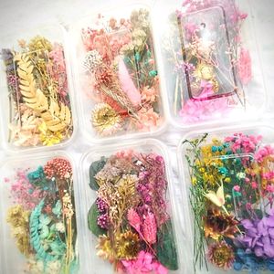 Pressed Flowers