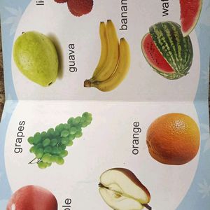 Combo Of Fruits And Animals Cardboard Books