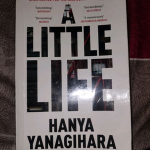 A Little Life