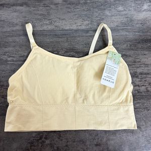 Cream + Grey Shade Bralette (Set Of 2)