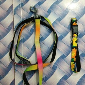 Cat For All Stage Training leash And Collar set