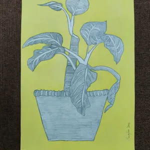 Dieffenbachia Sketch (available for limited time)