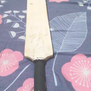 Cricket Bat