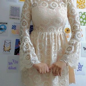Peach Net Design Dress