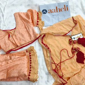 Aaheli Darshikha Peach Lehenga Coverup XXL