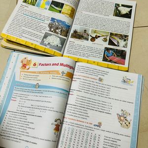 ICSE 6 STD Textbooks Combo