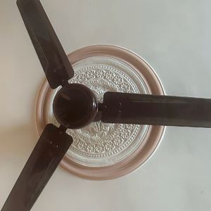 Havells Standard Fans Used But In Good Condition