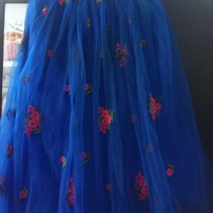 Beutiful Skirt Blue Colour