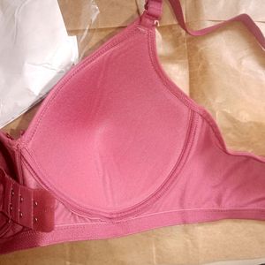 Alishan Padded Bra