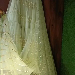 Most Beautiful Lehenga For Women In Green Colour