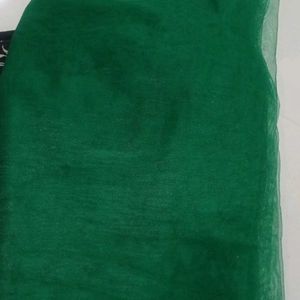 Net Green Dupatta With Silver Border