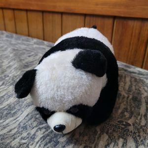 A Cute Panda