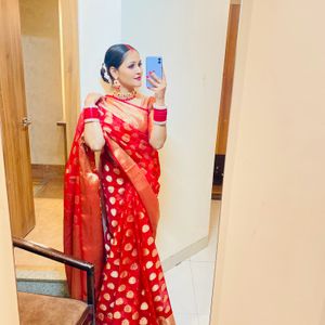 Organza Saree