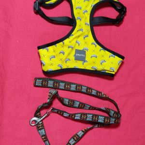 Dog Belt Size XL