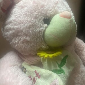 Pink Cuddle Teddy