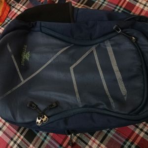 Laptop/School Bag