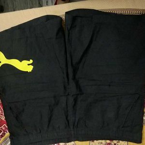 Puma Sports Shorts