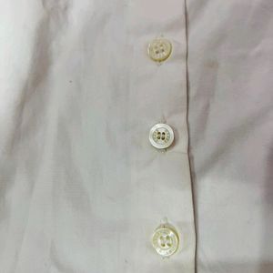 burberry white logo crop shirt