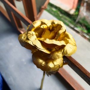 Golden Rose