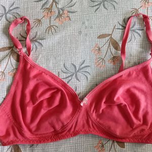 Women's Cotton Padded Non-Wired T-Shirt Bra!!