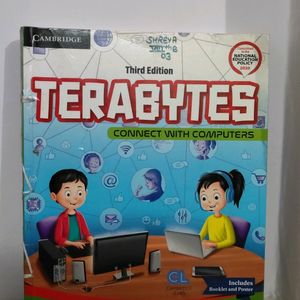 Terabytes Connect With Computers