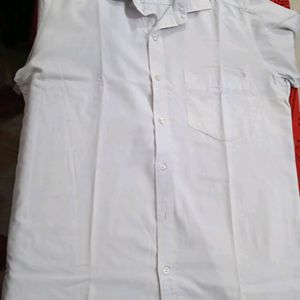 Slim Fit (Giouss) Semi White T Shirt