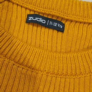 Zudio Sweatshirt