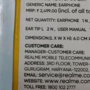 Realme Earbuds Not Working