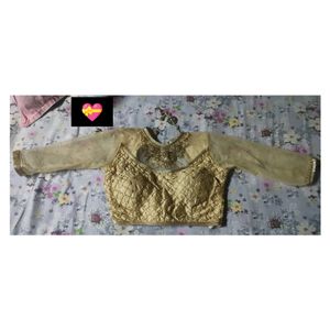 Designer Partywear Padded Blouse