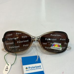 Brown Stylist Polarized Sunglass