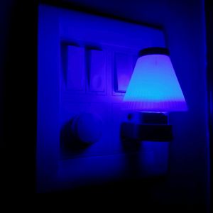 Night Lamp