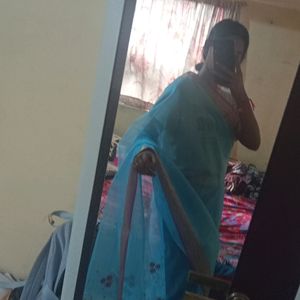 (Negotiable) Blue Organza Net Beautiful Sareee