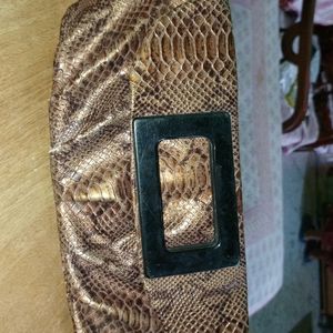 Snake Print Clutch