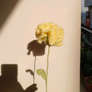 Cute Crochet Carnation Flowers 💐✨️