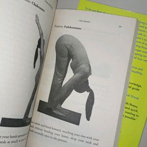 Yoga For Pregnancy And Health Nutrition Books